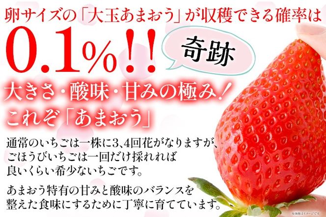 あまおう ごほうびいちご 極み 田川産あまおう 450g ＜2025年1月以降順次発送予定＞ あまおう いちご 苺 大粒 フルーツ 果物 お取り寄せ ご当地グルメ 福岡土産 取り寄せ グルメ 福岡県 食品