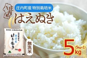 【令和8年産】特別栽培米 はえぬき 無洗米 5kg 5kg×1袋 庄内町産 余目産 余目町農協 あまるめ ブランド米 米 国産 単一原料米 山形 庄内平野