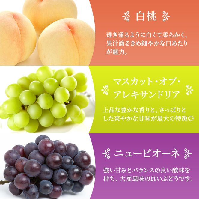 桃 ぶどう 梨 定期便 2026年 先行予約 晴れの国 岡山 の フルーツ 定期便 6回コース もも 葡萄 なし 岡山県産 国産 セット ギフト アレキサンドリ ニューピオーネ シャインマスカット 晴王 紫苑 