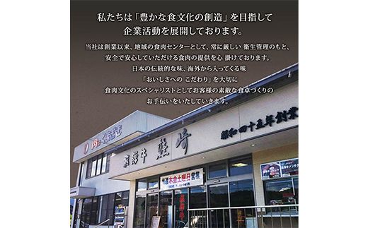 飛騨牛 メンチカツ 20個 冷凍【揚げるだけ 簡単調理 時短】ミンチ カツ お弁当 おかず おつまみ 人気 揚げ物 惣菜 肉 牛肉 和牛 ブランド牛 お取り寄せ グルメ ギフト プレゼント 送料無料 F4N-3098