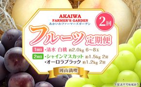 桃 ぶどう 定期便 2026年 先行予約 岡山満喫！ 清水 白桃 約2.0kg 6～8玉 ぶどう 2種 詰合せ 2回に分けてお届け!
