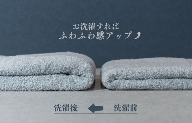 099H3694 カラーバスタオル 4枚 （グレー）【泉州タオル 国産 吸水 普段使い シンプル 日用品 家族 ファミリー】