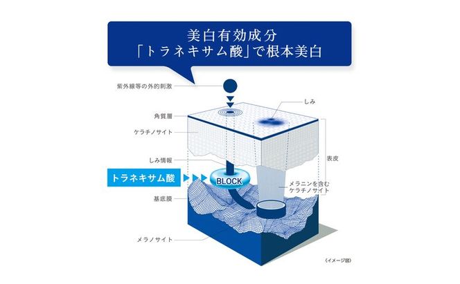 トランシーノ薬用ホワイトニングリペアクリームEX35g ケア スキンケア 美白 保湿 エイジングケア しみ・そばかすを防ぐ 紫外線対策 肌荒れ防止 トランシーノ 第一三共