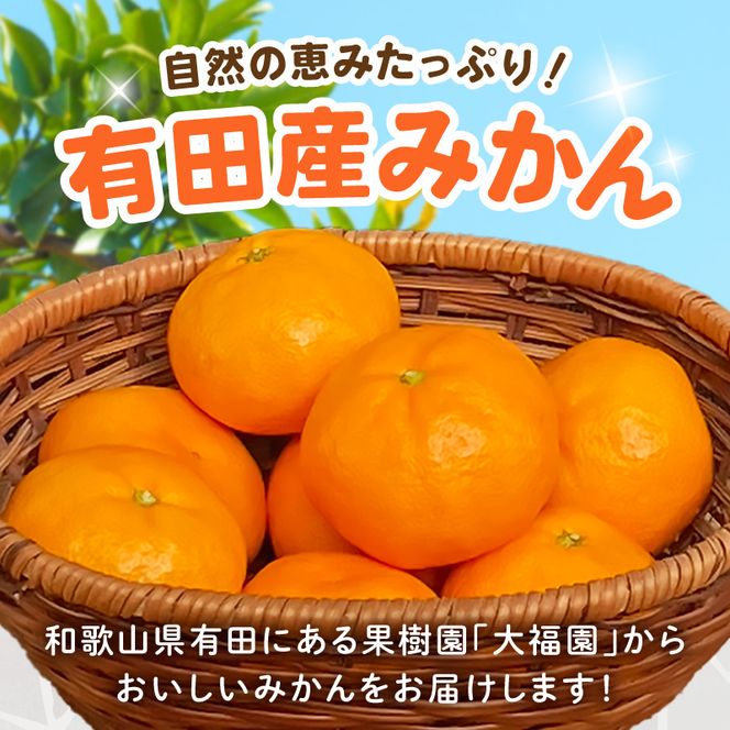 和歌山県有田産 みかん 約4.5kg 3L～2Lサイズ（おまかせ）_BT6015
