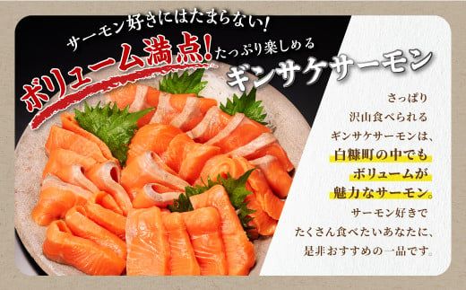 ギンサケサーモン【1.6kg】 小分け 下処理不要 絶品の「塩締め」レシピ ふるさと納税 海鮮 サーモン 鮭 魚 銀鮭 刺身 生食用 さけ サケ ふるさと ランキング 人気 魚介類 魚介 北海道 白糠町