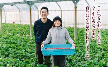 【予約：2025年1月上旬より順次発送】完熟 あまおう 270g × 4パック 苺 いちご 《糸島》【slowberry strawberry】 [APJ001] ランキング 上位 人気 おすすめ