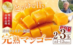 くまもと完熟マンゴー 2～3玉(約1kg～1.2kg前後) 熊本県玉名郡玉東町『清田ファミリー農園』マンゴー 完熟 秀品【日付指定不可】《5月下旬-8月末頃出荷》---gkt_kyfm_2_1kg---