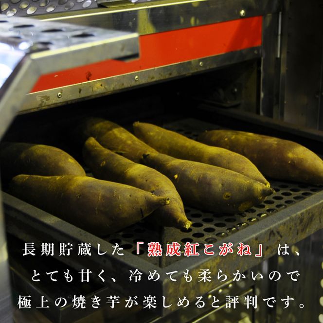 【訳あり】行方かんしょ「紅こがね」さつまいも約5kg（洗い・不揃い・C品）｜さつまいも 芋 わけあり 訳あり 焼芋 やきいも 紅こがね 茨城県 行方市 人気 送料無料(AE-108)