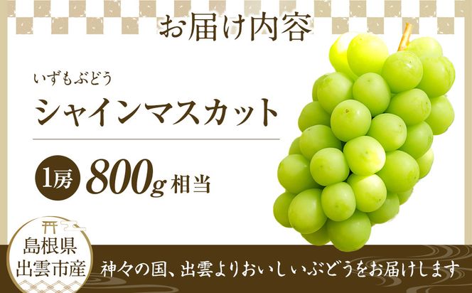 【2026年8月中旬以降発送】いずもぶどう シャインマスカット(800ｇ見当) 美味しい フルーツ 甘い 果物 出雲市産 322032_CG010