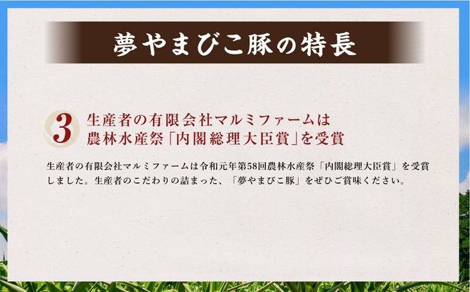 「夢やまびこ豚」焼肉セット 1.0kg | 豚肉 肉 詰め合わせ セット 焼肉用 焼き肉 BBQ 小分け 真空パック 冷蔵 送料無料