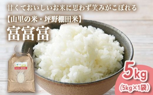 山の湧き水 寒暖差 山里 山里の米･坪野米 R7年産 富富富 5kg ｜ふふふ 新米 こめ コメ お米 おこめ 白米 精米 香り うまみ あまみ  自慢 高品質 富山 魚津　※北海道・沖縄・離島への配送不可