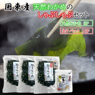 ＼テレビで紹介されました！／ 国東天然わかめのしゃぶしゃぶセット（湯通し塩蔵わかめ690g 厳選出汁パック付き）_2551R