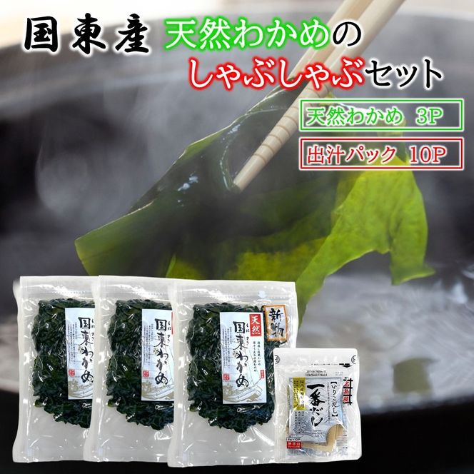 ＼テレビで紹介されました！／ 国東天然わかめのしゃぶしゃぶセット（湯通し塩蔵わかめ690g 厳選出汁パック付き）_2551R