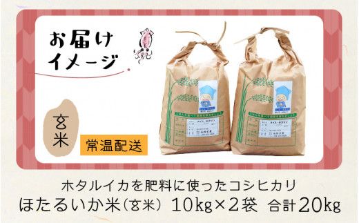 【訳あり】ほたるいか米（玄米20kg）【通年発送】