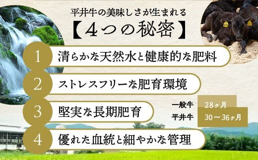 【7営業日以内発送】数々の誉れに輝く最高峰 黒毛和牛「平井牛」A5・A4 ミンチ 250g 京都 丹波牧場 自家産≪希少 和牛 京都肉 冷凍 ふるさと納税 牛肉≫