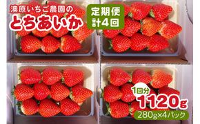 [定期便／4回] 澳原いちご農園のとちあいか定期便 (毎月お届け 計4回)｜いちご イチゴ 苺 とちあいか フルーツ 果物 果実 産地直送 栃木県産 期間限定 数量限定 先行予約 [0604]