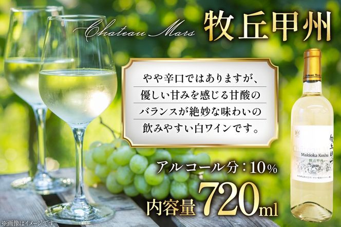 ワイン 飲み比べ ソムリエセレクト 白ワイン 4本セット [本坊酒造 マルス穂坂ワイナリー 山梨県 韮崎市 20743677] ワインセット 白 シャトーマルス 辛口 お酒