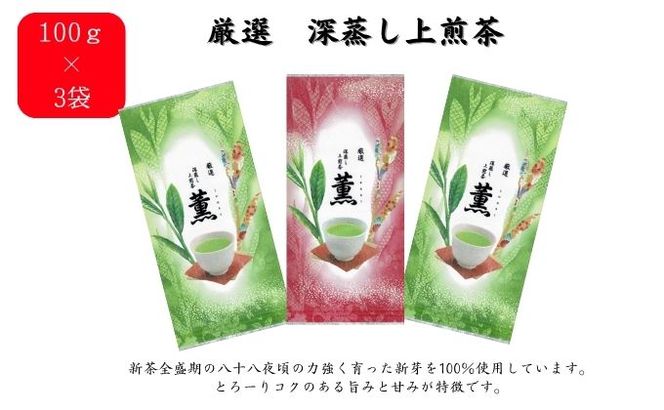 お手軽！フィルターインボトルと深蒸し茶バラエティセット