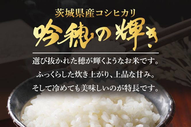 【3ヵ月定期便】 ＜令和７年産＞ コシヒカリ 5kg × 3ヵ月 精米 こしひかり 米 ごはん コメ お米 白米 国産 茨城県産