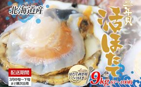 北海道産 活ほたて 2年貝 約 9kg 67枚～100枚 2026年3月中旬～3月下旬頃お届け 殻付き 貝付き 帆立 ホタテ ほたて 貝 魚介 海産 海鮮 貝柱 噴火湾 刺身 焼き フライ 生産者支援 産地直送 送料無料 