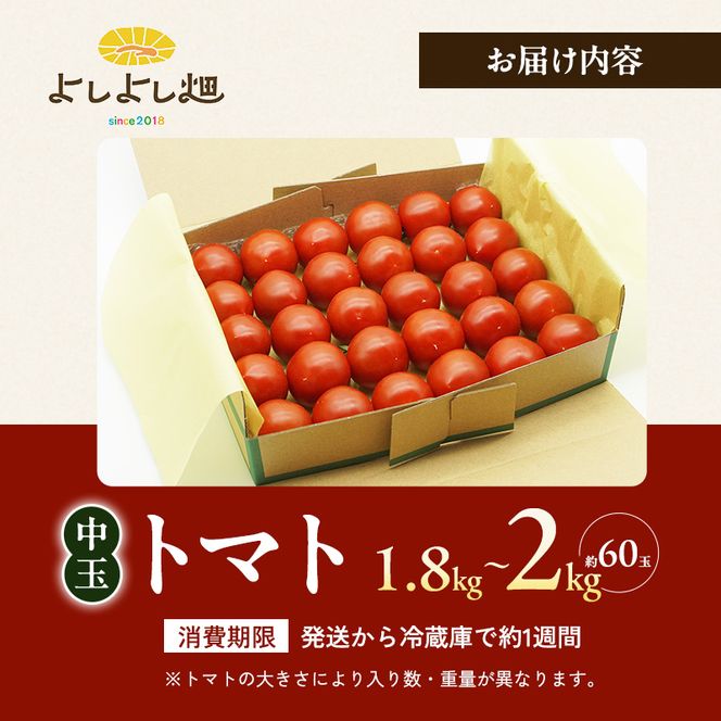 よしよし畑のあま～い トマト ( 中玉トマト ) 1.8kg ～ 2kg 程度 新鮮 産地直送  とまと おいしい おすすめ ギフト お取り寄せ