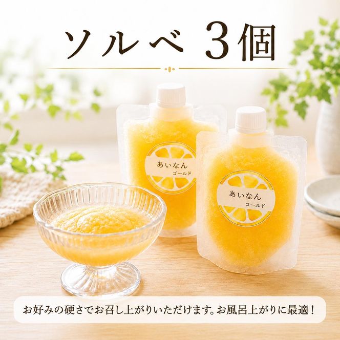 道の駅の「アイスセット」 愛南ゴールド アイス 小パック 2個 ソルベ 3個 河内晩柑 アイスクリーム ジェラート みかん 冷凍 暑い 夏 湯上がり プール 愛南総研 道の駅MIC 愛媛県 愛南町