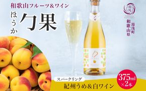 KG1008_ワインカクテル スパークリング 勹果 ほうか 紀州うめ＆白ワイン 375ml 2本 湯浅ワイナリー