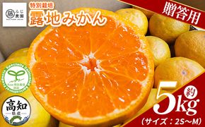 みかん 【2026年10月以降順次配送分】ふじ農園の露地みかん 贈答用 5kg (2S～M) - みかん 温州みかん 国産 蜜柑 ミカン 柑橘 果物 フルーツ 贈答 プレゼント ギフト 贈り物 ふじ農園 高知県 香南市 常温 fn-0010