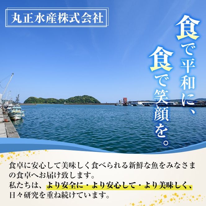 ＜定期便・全4回(連続)＞さかなのまち 門川 海の幸 定期便 ( 骨取り 肉厚 サバ切身×40切・味付けすりみ2種 計1.8kg、特大 あじ　開き×20切・訳あり からすみ100g) アジ さば カラスミ おかず 惣菜 骨とり 煮物 すり身 宮崎県 門川町【AW-64】【丸正水産】