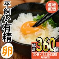 ＜定期便・全12回＞産直・平飼い有精卵 (総計360個・30個×12回(毎月発送)) 卵 玉子 卵かけご飯 玉子焼き 平飼い 鶏 鶏卵 養鶏場直送 朝採れ 新鮮 大分県 佐伯市 【HM05】【佐伯養鶏場】