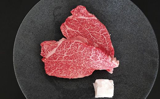 飛騨牛ヒレ ステーキ 120g (2枚) 飛騨牛 A5等級 和牛 黒毛和牛 F4N-2671