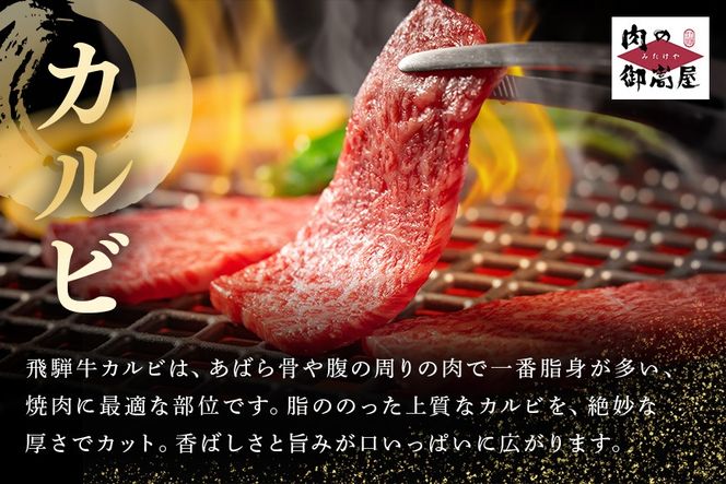 飛騨牛 カルビー 500g 焼肉用 冷蔵配送 焼肉 焼き肉 バーベキュー BBQ キャンプ アウトドア 牛肉 肉 お肉 507