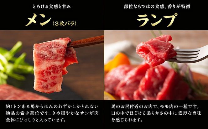 馬肉 熊本特産 フジチクオリジナル 特選 馬刺し 8種 セット 道の駅竜北《30日以内に出荷予定(土日祝除く)》 熊本県 氷川町 肉 馬肉 メン 大トロ 中トロ ヒレ シャトーブリアン ロース ランプ 上赤身 ネギトロ ふじ馬刺し セット 食べ比べ---sh_fyekfotb_r7_30d_79500_610g---