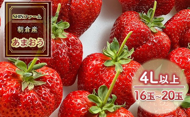 いちご 朝倉市産 あまおう 4L以上 16玉～20玉 イチゴ 苺 果物 デザート ＜SHINファーム＞ ※配送不可：離島 
