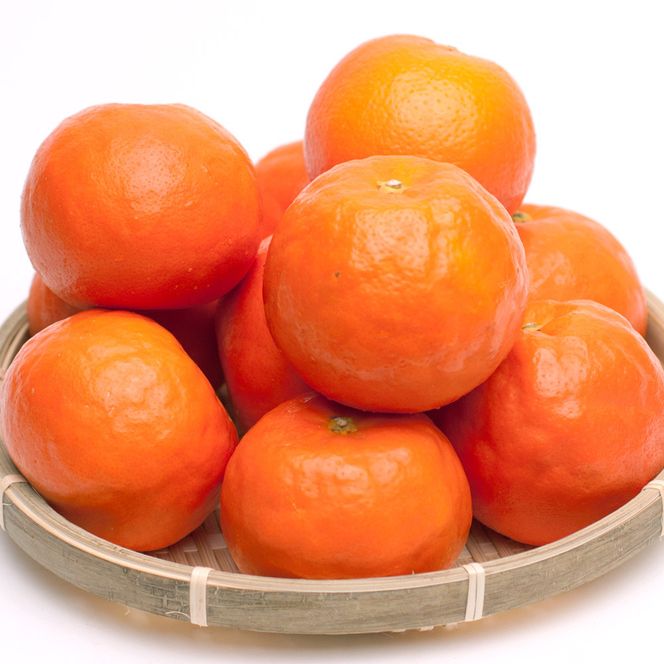 厳選 セミノールオレンジ 1kg+250g（傷み補償分）【春みかん】【有田産】【光センサー食べ頃出荷】 ［IKE275］ 303446_BB90192