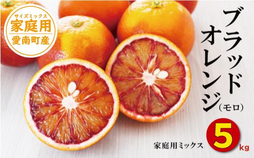 ブラッドオレンジ 5kg （ 家庭用 ミックス ） 10000円 （発送期間：1月下旬～無くなり次第終了） みかん オレンジ おれんじ タロッコ モロ イタリア 高級 ブランド 家庭用 産地直送 国産 農家直送 糖度 果樹園 期間限定 数量限定 特産品 ゼリー ジュース 人気 限定 さわやか 甘い 新鮮 果実 果肉 フルーツ 果物 柑橘 蜜柑 規格外 サイズ ミックス 愛媛県 愛南町 果樹園みどり
