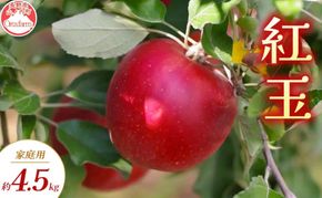 【2026年9月～発送】紅玉 家庭用 約4.5kg りんご リンゴ 林檎 果物 フルーツ 長野県 長野 山ノ内町