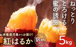 ＜訳あり＞さつま芋（紅はるか）5kg　K396-001