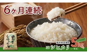 【6ヶ月連続】令和8年産福井県若狭町コシヒカリ（一等米）5kg（山心ファーム） お米 福井県産 甘い