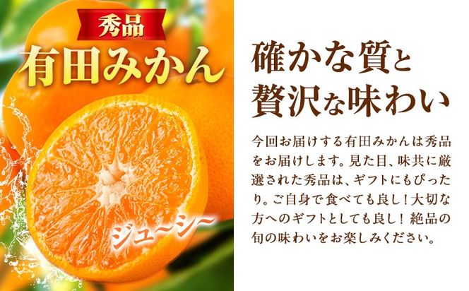 【先行予約】秀品 有田みかん 約2kg 株式会社魚鶴商店《2026年11月下旬-2027年1月下旬頃出荷》和歌山県 日高川町 有田みかん ミカン 蜜柑 フルーツ 柑橘---wshg_uot168_11g1g_25_8000_2kg---