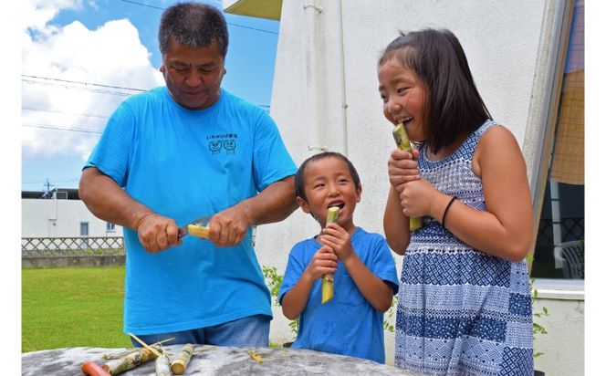 【読谷村の民家で民泊！よみたん民泊】　2泊4食付プラン＜2名様＞