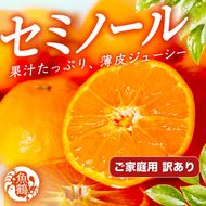［先行予約］［ご家庭用訳あり］ジューシー柑橘 セミノールオレンジ 5kg［UT150］ 303446_XF91193