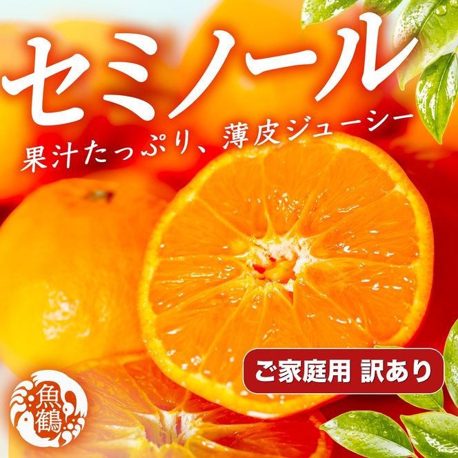 ［先行予約］［ご家庭用訳あり］ジューシー柑橘 セミノールオレンジ 5kg［UT150］ 303446_XF91193