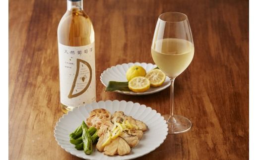 天然ワイン醸造 酸化防止剤無添加 天然葡萄酒 赤中辛 720ml、天然葡萄酒 白辛 720ml 2本セット 発売元 株式会社片山