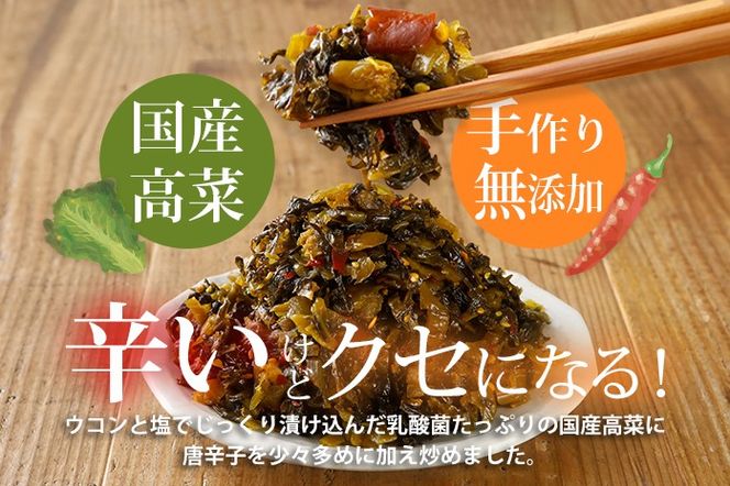 辛子高菜 240g×4パック 山賊の高菜 からし高菜 メール便 ポッキリ お米に合う ご飯のお供 おつまみ 国産 無添加 お取り寄せ 福岡 お土産 九州 グルメ 福岡県