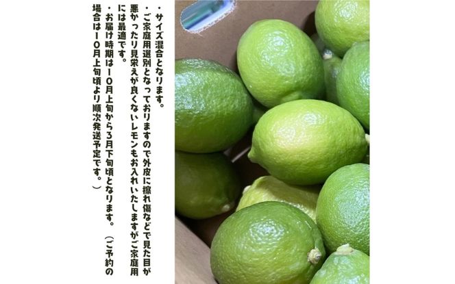 紀州和歌山 ご家庭用 有田 レモン 3kg+200g(痛み補償分)【防腐剤・ワックス不使用】【農家直送】【訳あり】 ※着日指定不可 ※2026年9月下旬～2027年3月下旬に順次発送予定【ard189A】