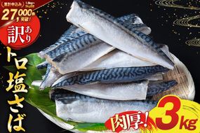 【CF03】訳あり 塩サバ フィレ 3kg [足利本店 宮城県 気仙沼市 20564146] 魚介類 魚 海鮮 大容量 サバ さば 鯖 サバフィレ サバフィーレ 鯖フィレ トロサバ 訳アリ 訳あり わけあり 切り身 冷凍