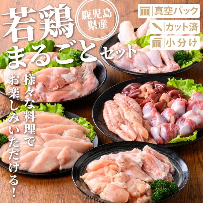 isa717 鹿児島県産 若鶏まるごとセット(合計3.05kg) 鹿児島県産 小分け 真空パック 鶏肉 鳥肉 もも肉 モモ肉 むね肉 ムネ肉 胸肉 ささみ ササミ 筋なし 砂肝 肝 手羽先 手羽中 手羽元 肩肉 小肉 骨付きモモ セット 詰め合わせ 冷凍 【TRINITY】