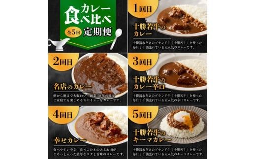 【5回定期便】清水町自慢のカレー食べ比べ定期便 レトルトだから温めるだけ カレー 常備食 保存食 ブランド牛 防災 備蓄 牛肉カレー 国産 ごはんのお供 キャンプ飯_S999-0004