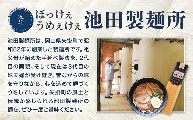 手延べラーメン 選べる 5食セット 12食セット (スープ付き) 長期保存可 池田製麺所《30日以内に出荷予定(土日祝除く)》岡山県 矢掛町 ラーメン 手延べ 乾麺 無かんすい麺 醤油味 尾道ラーメン風 送料無料---ofn_ikdtrm_30d_25_8500_5---